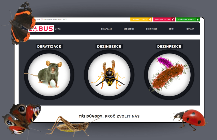 Deratizace Labus – tvorba webu